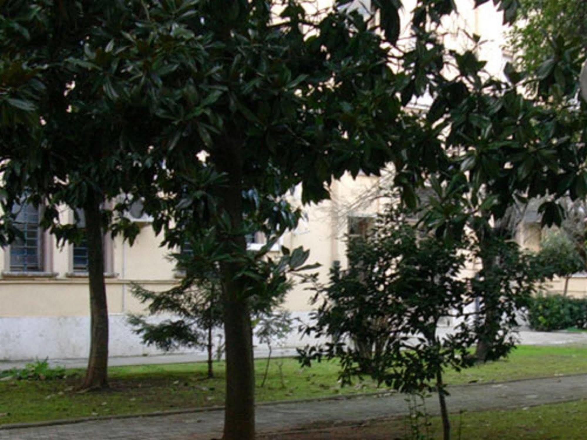 Alojamento de Acomodação e Pequeno-almoço Bellavista Latina